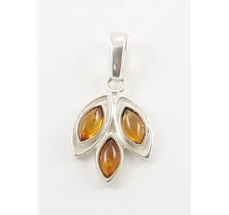 Amber Pendant (45) 01