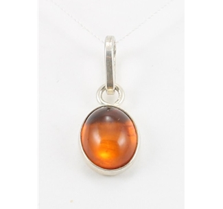 Amber Pendant (61) 01