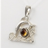 Amber Pendant (17) 04