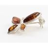 Amber Brooch (29) 04