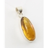 Amber Pendant (40) 03