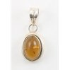 Amber Pendant (46) 01