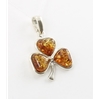 Amber Pendant (48) 03