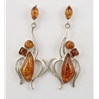 Amber Ear Studs (93) 01