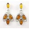 Amber Ear Studs (97) 01