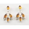 Amber Ear Studs (97) 02