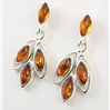 Amber Ear Studs (97) 04