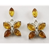 Amber Ear Studs (98) 01