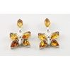 Amber Ear Studs (98) 02