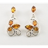 Amber Ear Studs (99) 02