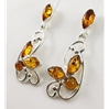 Amber Ear Studs (99) 03