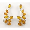 Amber Ear Studs (100) 01