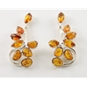 Amber Ear Studs (100) 02