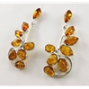 Amber Ear Studs (100) 04