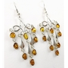 Amber Earrings (107) 04