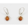 Amber Earrings (109) 02