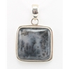 Dendritic Agate (01) 01